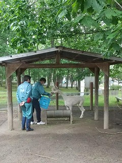 写真：園長と獣医さん