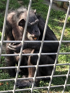 写真：外展示場のユウコ