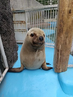 写真：くるる1（6月25日）