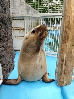 写真：くるる2（6月25日）