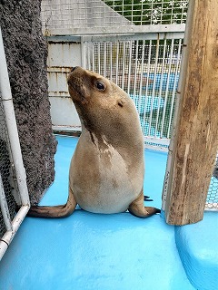 写真：くるる3（6月25日）