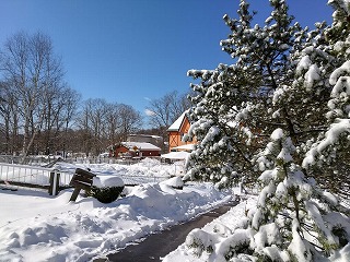 写真：冬景色