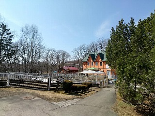 写真：春ですね