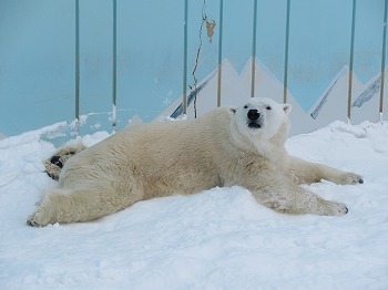 写真：キロル2