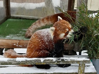 写真：アスナロ