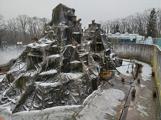 写真：サル山の雪