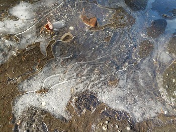 写真：凍った地面