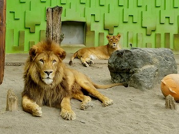 写真：アキラとゆうき