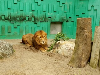 写真：ゆうひ