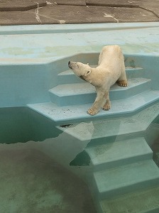 写真：ミルク