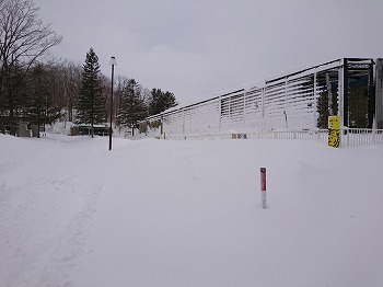 写真：雪の中の猛獣舎