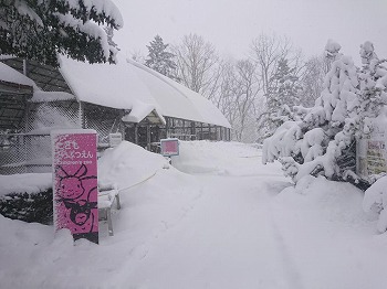写真：雪のふれあいドーム