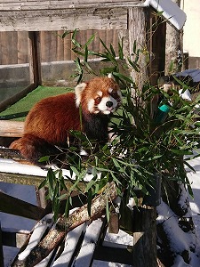 写真：アスナロ