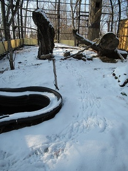 写真：雪の上の足あと