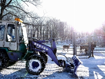 写真：除雪作業の様子