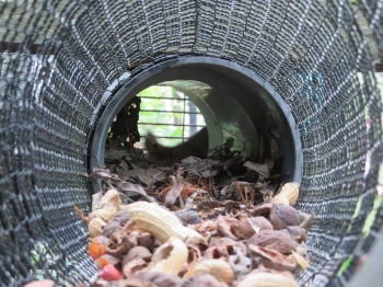 写真：エゾリス舎のトンネル