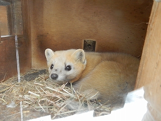 写真：てんてん