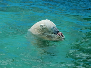 写真：キロル2