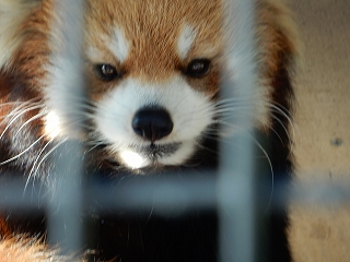 写真：コーアイ