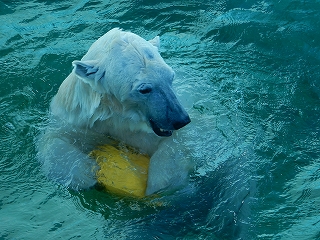 写真：ミルク2