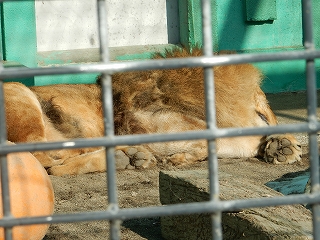 写真：ゆうひ