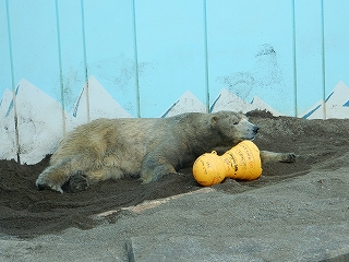 写真：キロル2