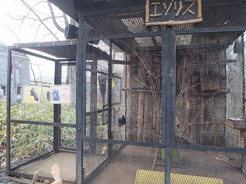 写真：エゾリス舎　エゾリスは巣箱の中