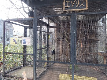 写真：エゾリス舎　エゾリスは巣箱の中