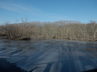 写真：凍った白鳥池