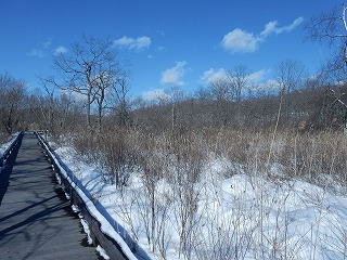 写真：木道