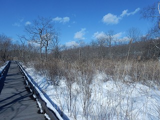 写真：木道