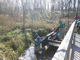 写真：トンボ池の浚渫2