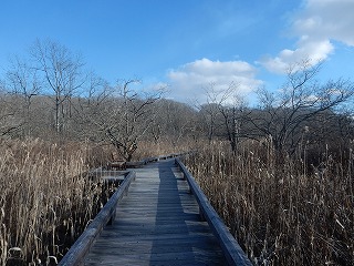 写真：木道