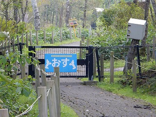 写真：ゲート1