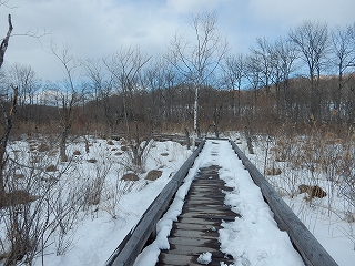 写真：雪で白くなった木道
