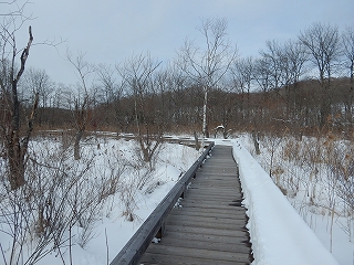 写真：北海道ゾーン景色