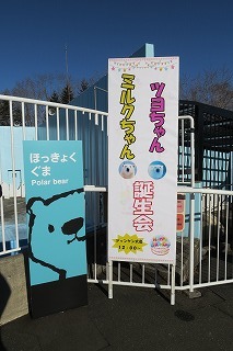 写真：ホッキョクグマの誕生会看板