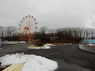写真：雪が降った園内