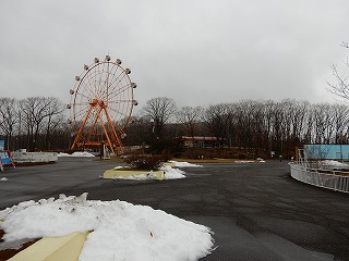 写真：雪が降った園内