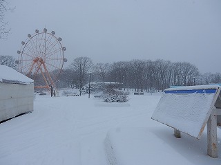 写真：初雪が降った園内