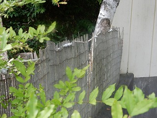 写真：ホースがひかれてある柵