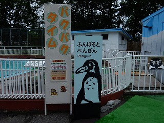 写真：ふんぼるとぺんぎんパクパクタイム看板