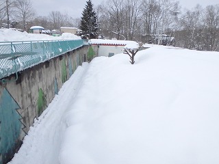 写真：雪が積もったヒグマ舎