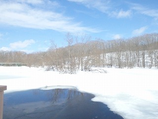 写真：雪で覆われたハクチョウ池