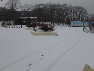 写真：雪が積もった園内の様子