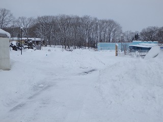 写真：大量の雪が積もった園内の様子