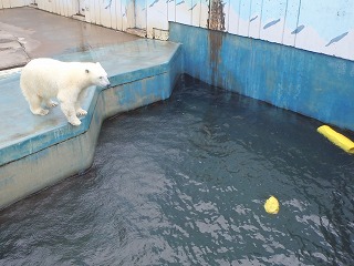 写真：今日のミルク1