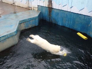 写真：今日のミルク2