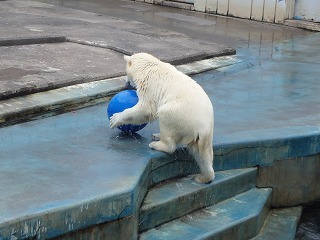 写真：今日のミルク1