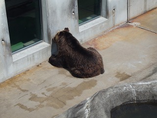 写真：おやつを待つヤマト（7月29日）